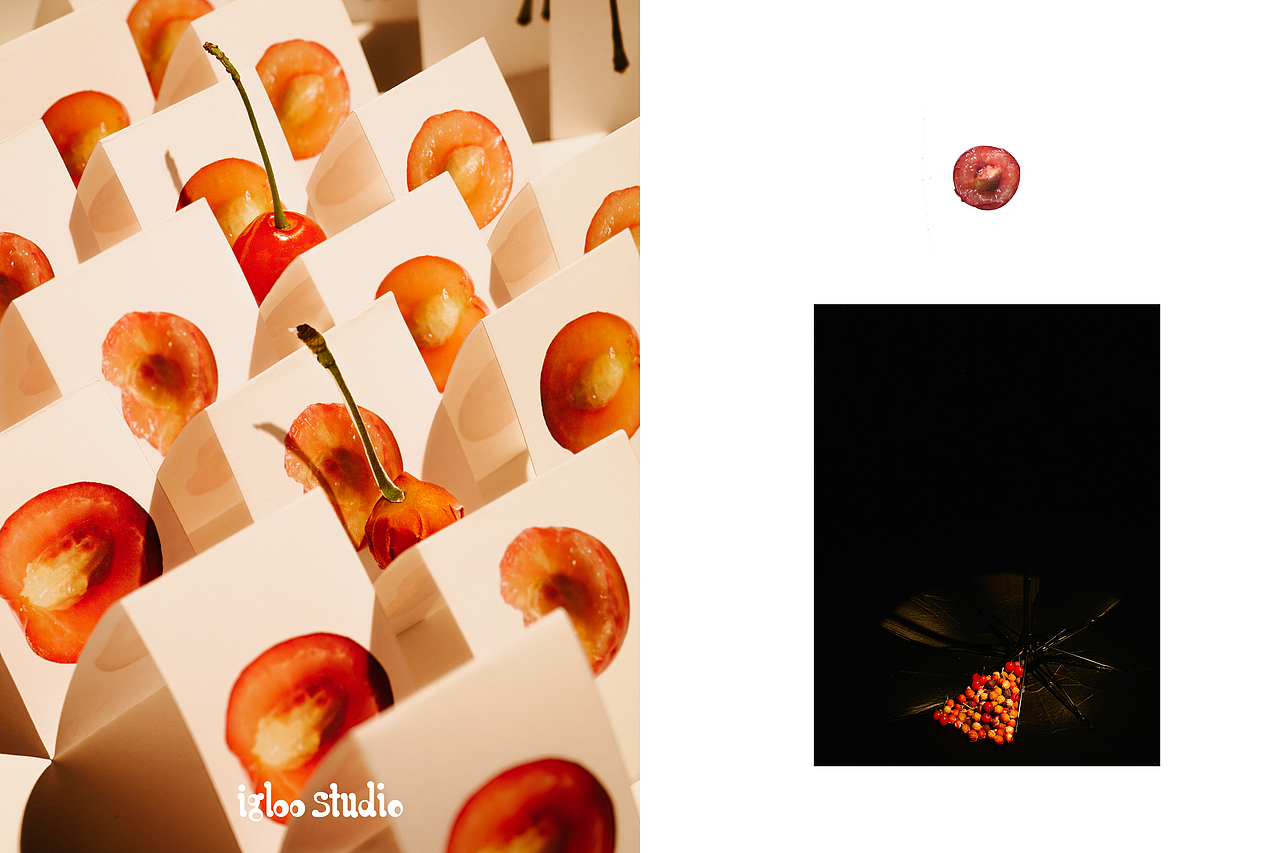 观念艺术作为西方艺术主流之一<br>提出了一个很重要的观点<br>即观念是可以被审美的<br><br>