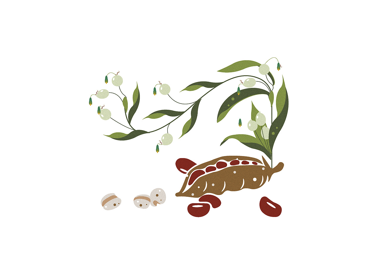 赤小豆/薏苡仁/茯苓/陈皮👉祛湿