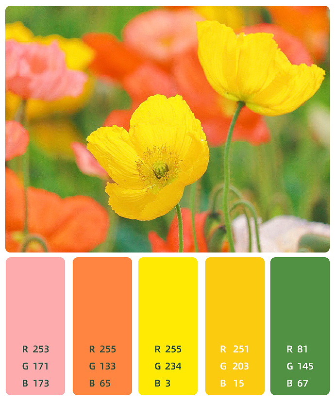 色彩练习（图ZMzM2OTMwNjY0） - 其他 - 站酷设计师爱笑的眼睛101010原创素材 - 站酷ZCOOL