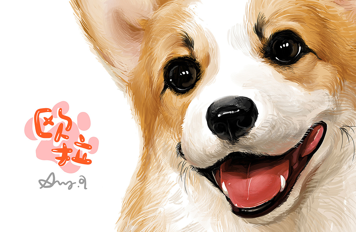 a · 萌宠绘]柯基-欧拉|插画|商业插画|amyaaa - 原创作品 - 站酷