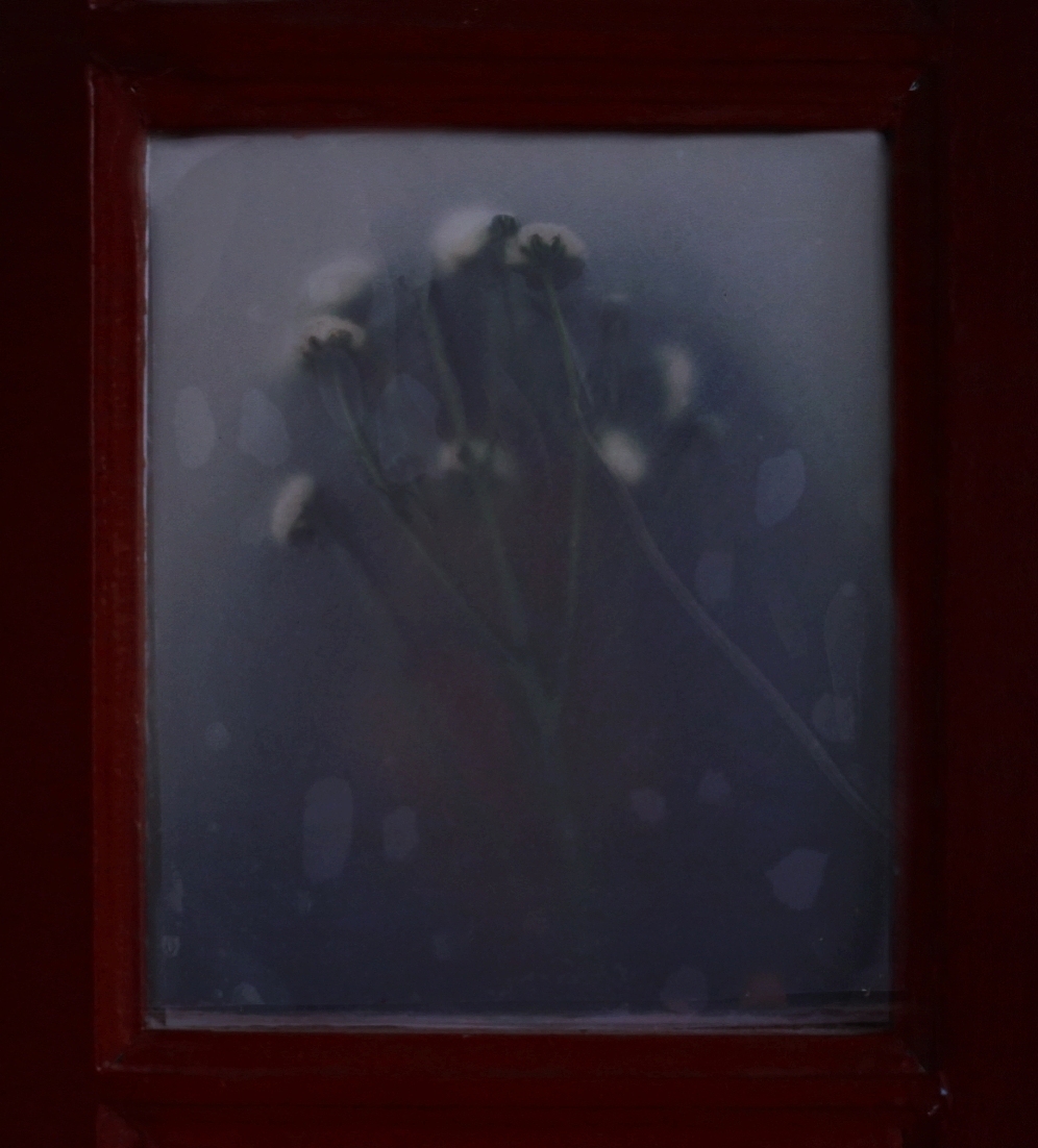 窗与花（图ZMjcxMjU2MjMy） - 人像摄影 - 站酷设计师小狗阿茶仔原创素材 - 站酷ZCOOL