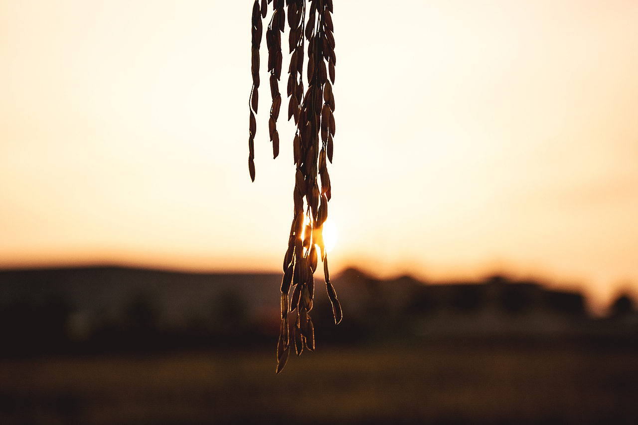 秋分（图ZNjA0NDc5Mjg=） - 风光摄影 - 站酷设计师董董Dgl原创素材 - 站酷ZCOOL