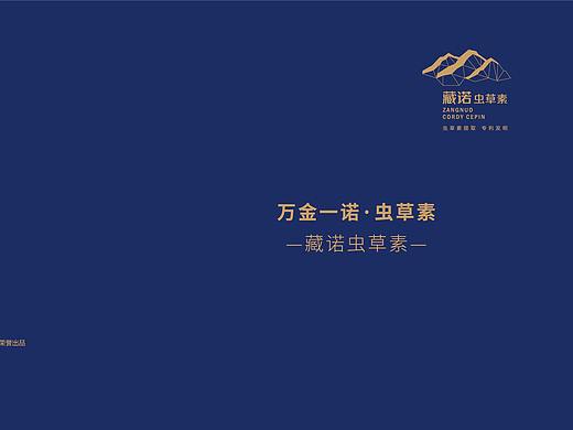 产品招商手册