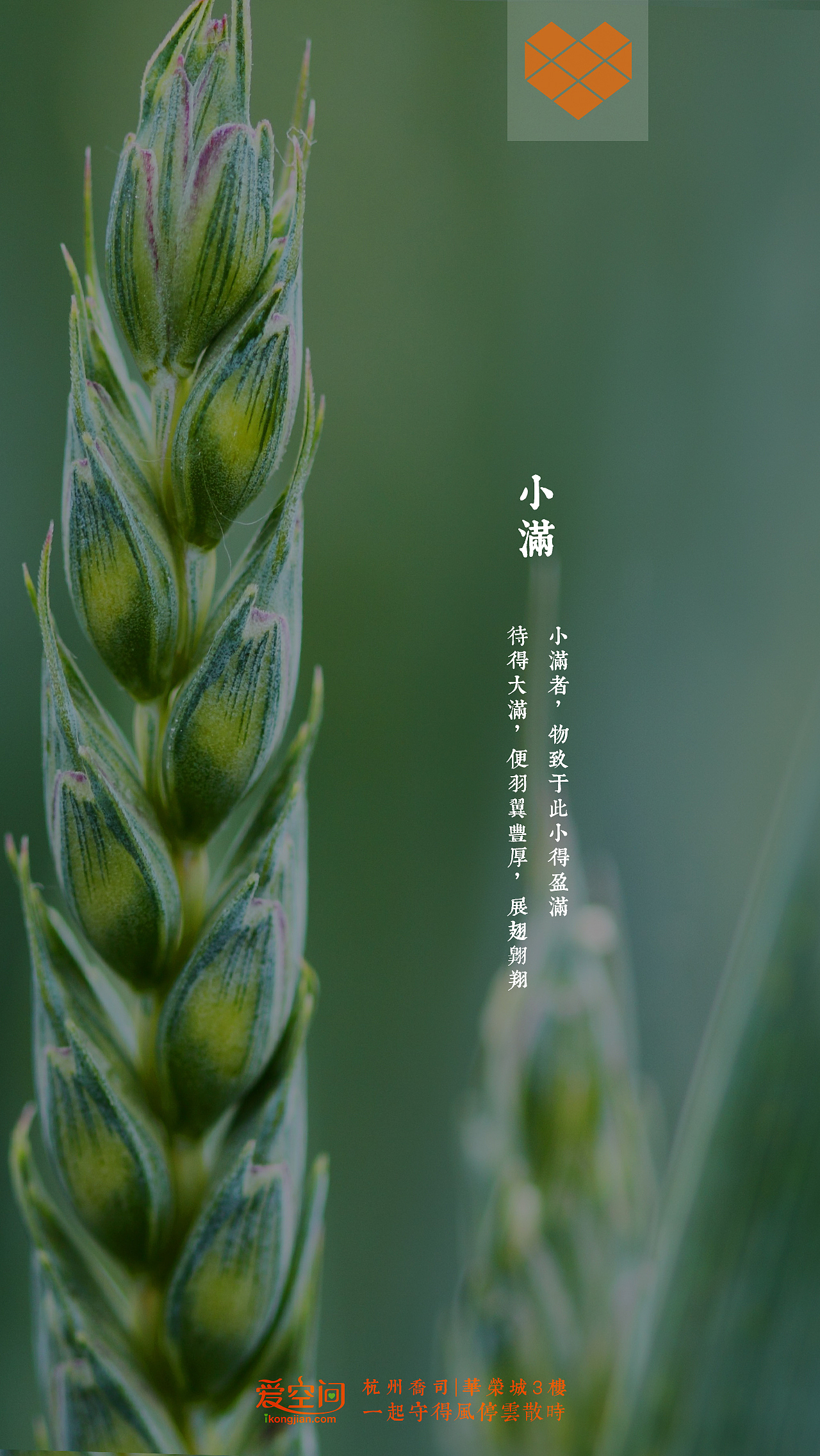 小满(爱空间杭州2016)