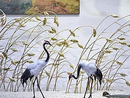 新銅時代//廣州國際家具展展況