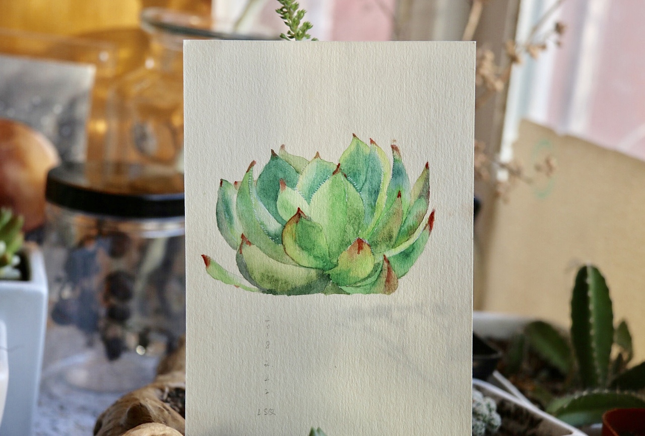 2018.02第一至三周（图ZMTA1NDkwMjEy） - 绘画 - 站酷设计师vanyushu原创素材 - 站酷ZCOOL