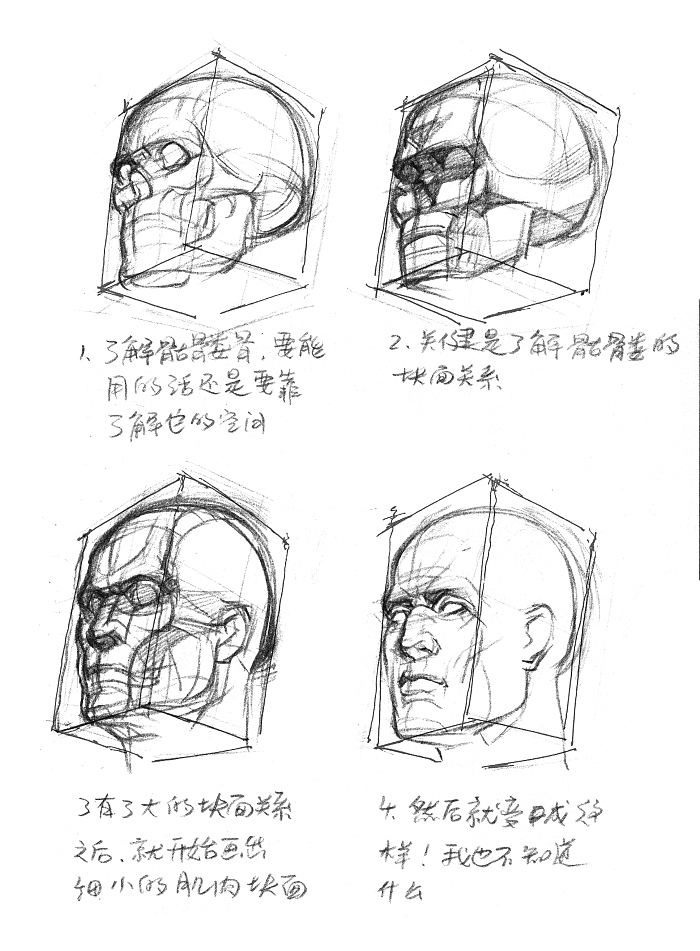 【干货】春哥制造:人体结构绘画药方系列(二)(图ZMjIzMjI1MjQ=) - 创作习作 - 站酷设计师画画的春哥原创素材 - 站酷ZCOOL