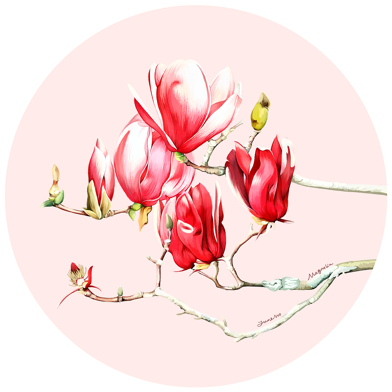 手绘花卉 艺术画 博物杂志复古风