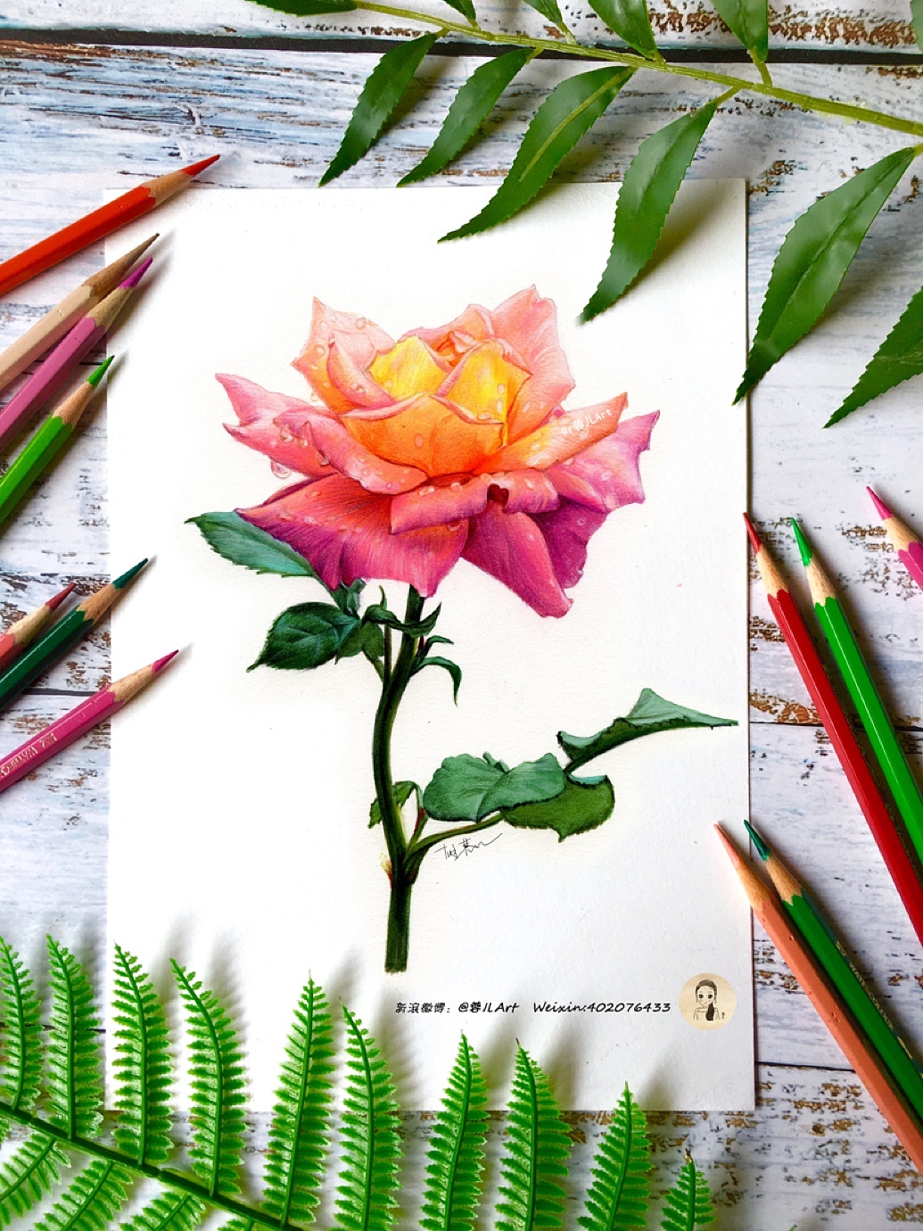 彩色铅笔手绘画---花|插画|创作习作|在路上的zhu - 原创作品 - 站酷 (ZCOOL)