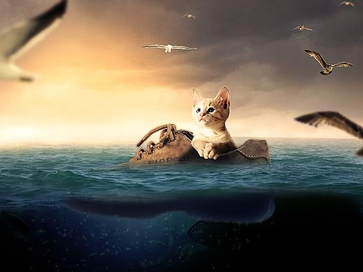 PS制作小猫漂流记的场景合成海报