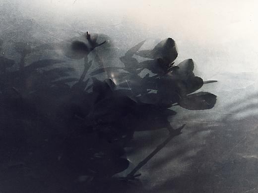 D..|1-10 每一天的影像