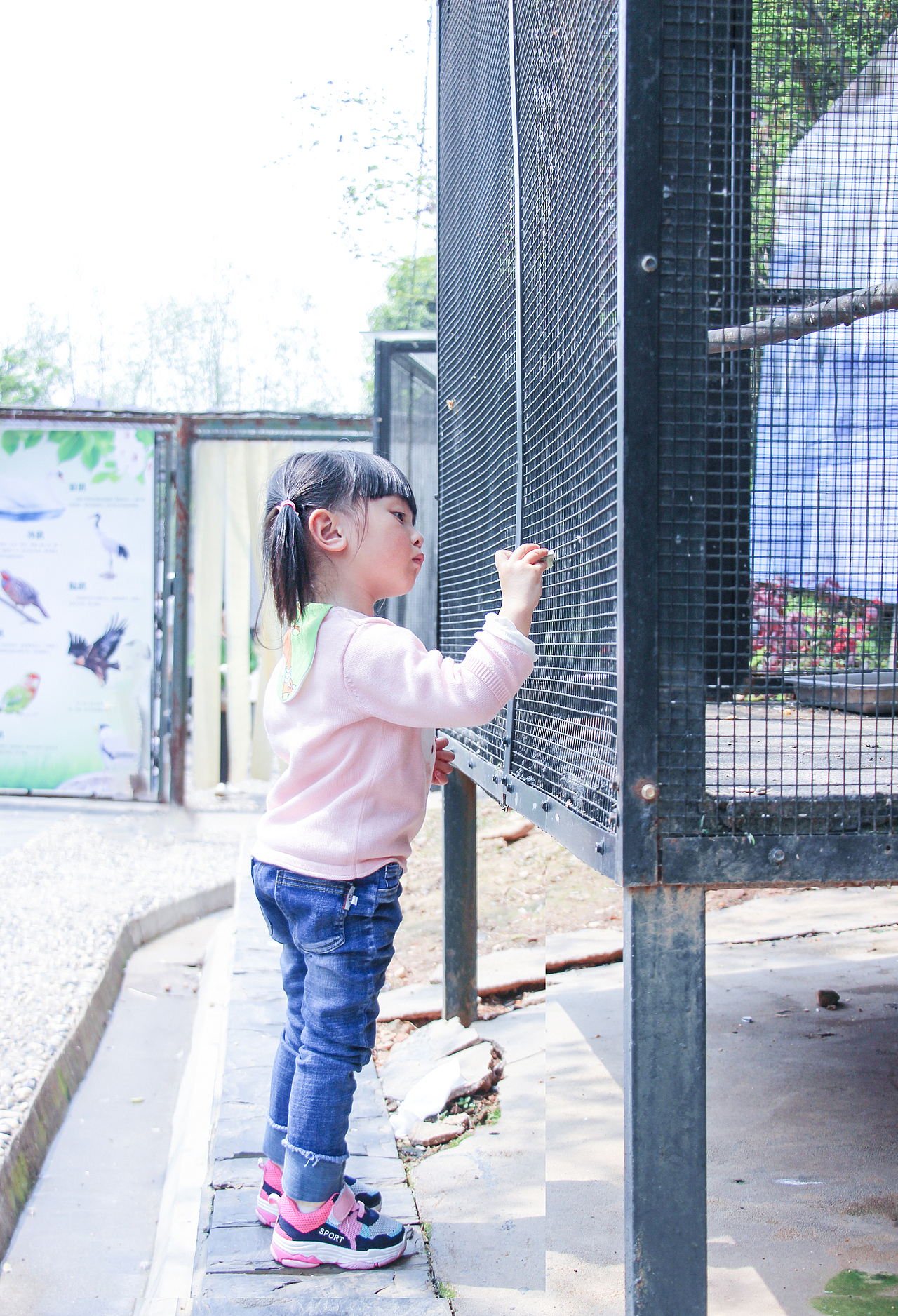 动物园一游～拍摄技术还得不断提高～现菜鸟一枚[z欢呼（图ZMTEwMDMzNTU2） - 人像摄影 - 站酷设计师卤肉明原创素材 - 站酷ZCOOL