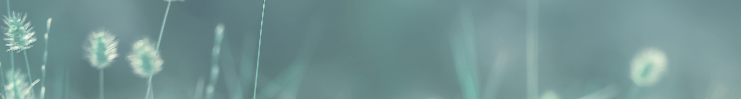 曬太陽的面包片的個人主頁（封面預(yù)覽） - 主頁封面設(shè)置 - 站酷設(shè)計師曬太陽的面包片原創(chuàng)素材 - 站酷ZCOOL