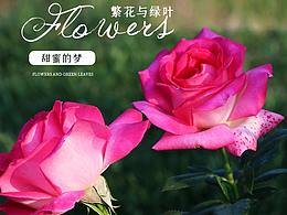 详情页