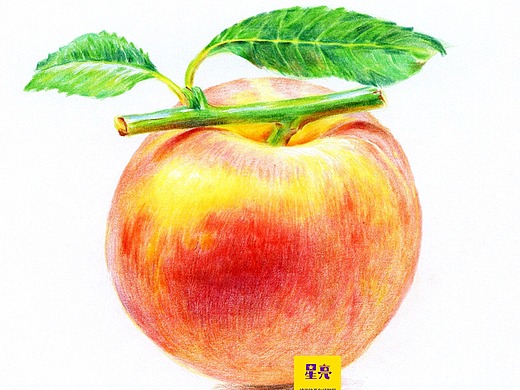 彩铅绘画学习交流报名_素材网站_图片免费下载-zcool站酷