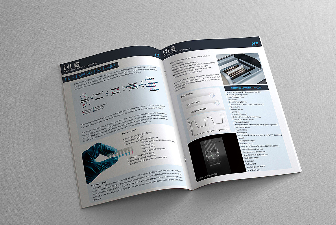 给欧洲某兽医药公司做的画册（图ZMjcyNjQzNTI=） - 书籍/画册 - 站酷设计师deardana原创素材 - 站酷ZCOOL
