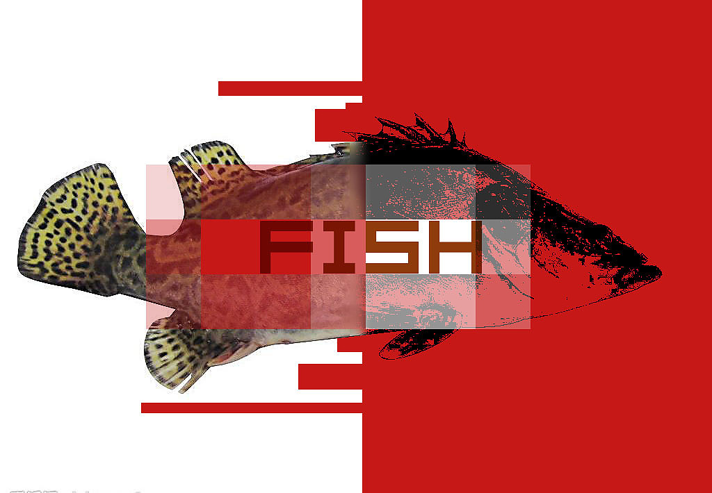 色鱼|平面|海报|点墨风流 - 原创作品 - 站酷 (zcool)