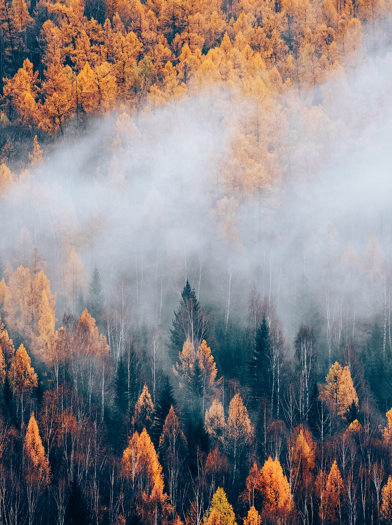 新疆童话 | TRIBUTES ON THE ROAD