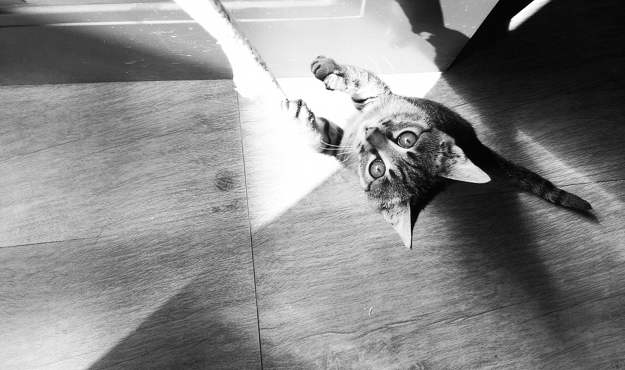 一些记录（图ZNjI5MzE3NDA=） - 其他摄影 - 站酷设计师早寻原创素材 - 站酷ZCOOL