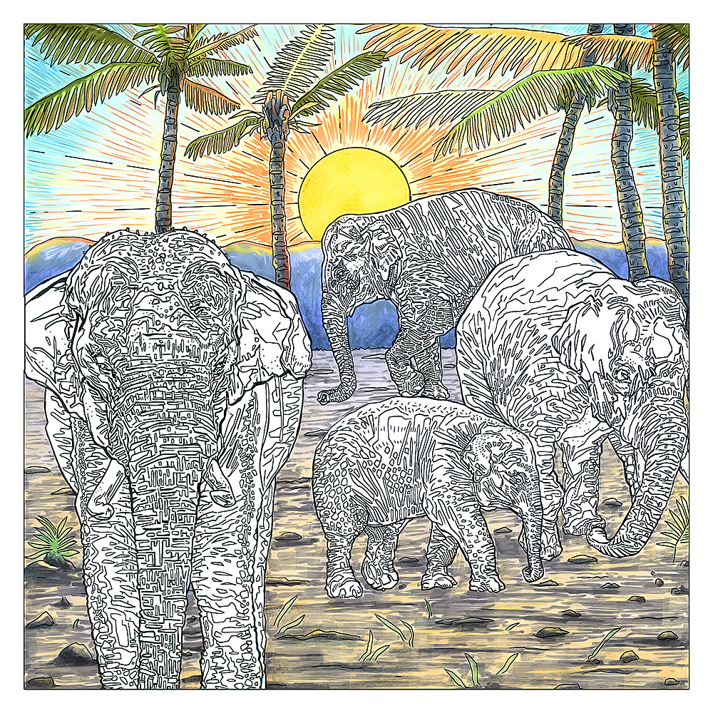 受国际爱护动物基金会邀请,在Bilibili做了场公益手绘直播活动。在美国画家克雷格·诺顿画的线稿上涂色创作了这张画
<br>大象没有上色,希望能给大家留下一点思考,如果我们不重视濒危动物的保护,将来很可能就会灭绝…