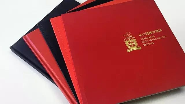 埃美思少儿培训机构品牌设计作品