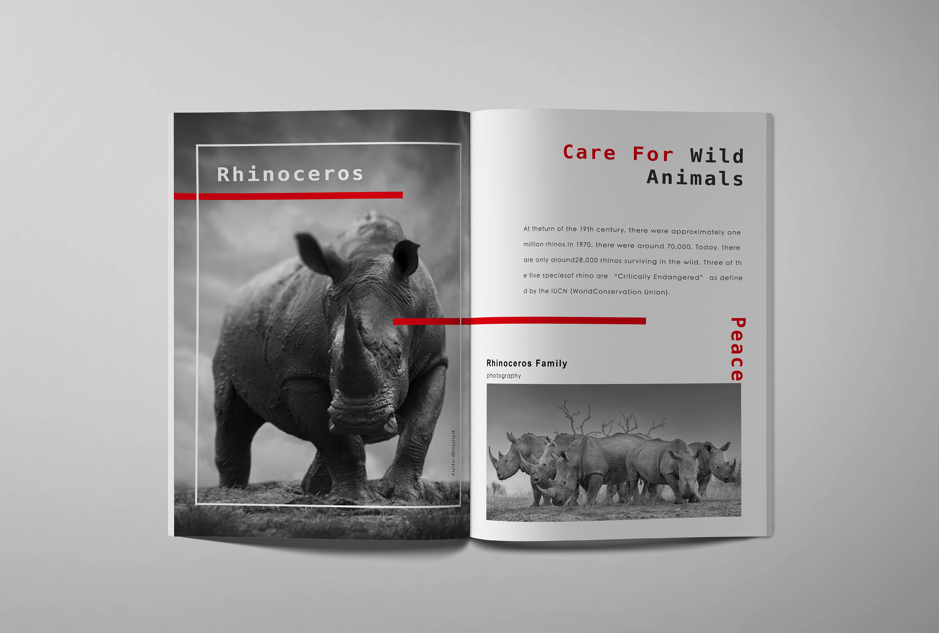 摄影宣传册画册——公益保护野生动物