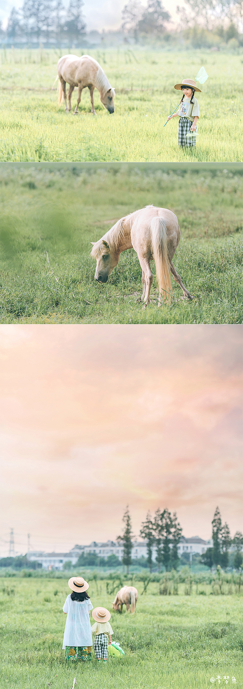 去年夏天的某天