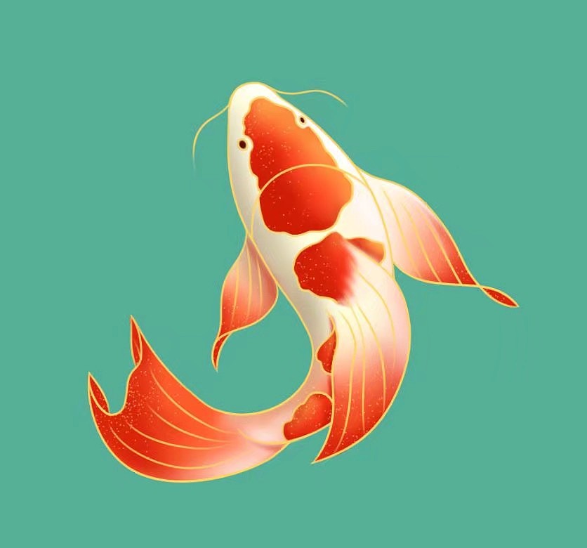 国潮风插画《鱼莲嬉戏》