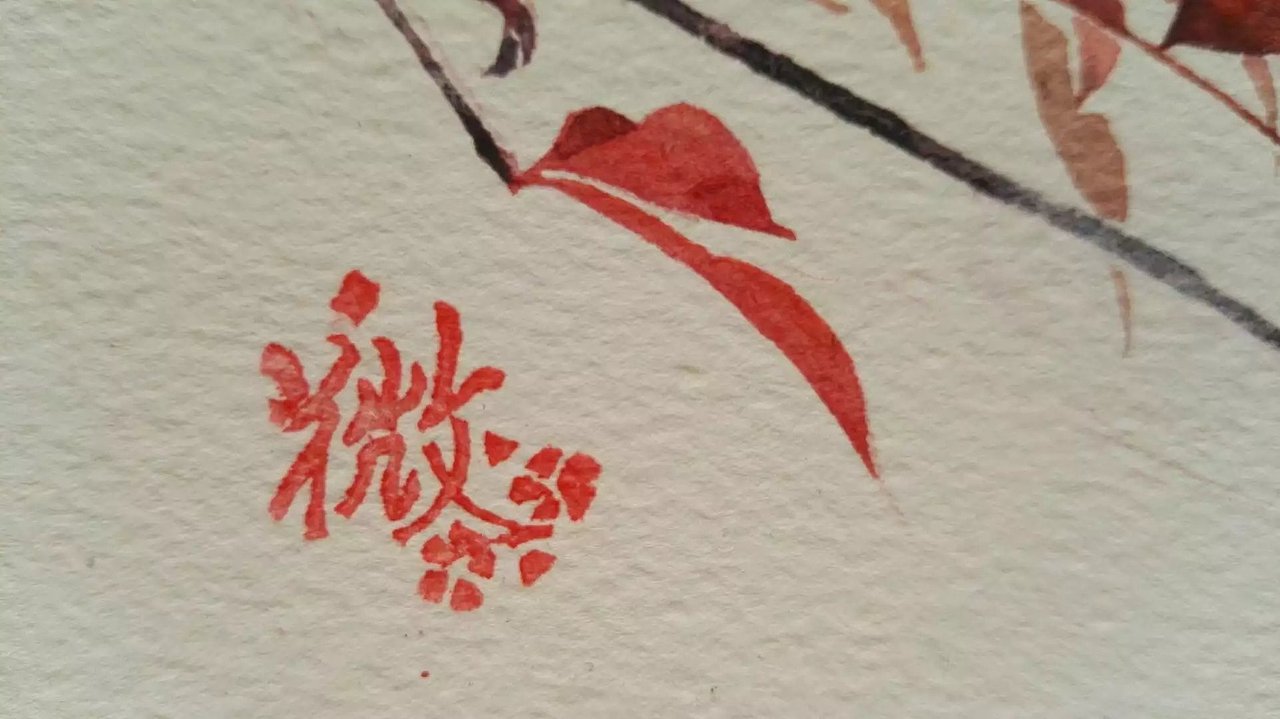 沒骨 南天竹（图ZMjcxOTUzNjgw） - 绘画 - 站酷设计师金鱼泡泡吹泡泡原创素材 - 站酷ZCOOL