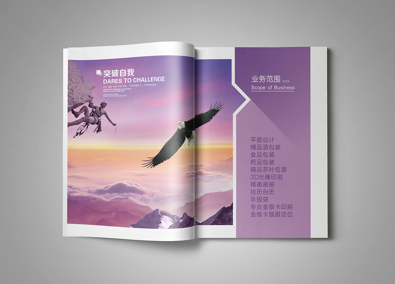 企业画册设计