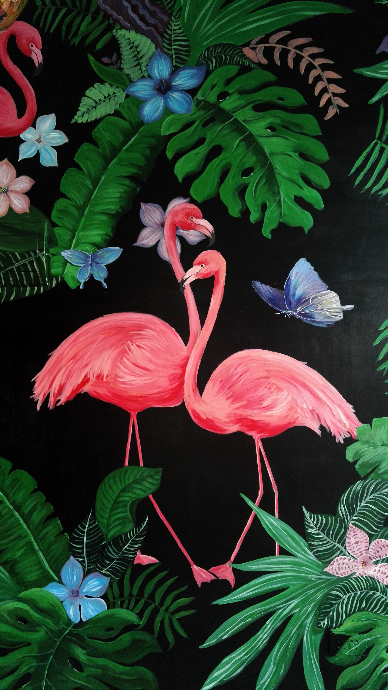 火烈鸟——坚贞不渝的爱