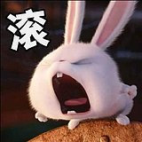 裸奔的rabbit的头像