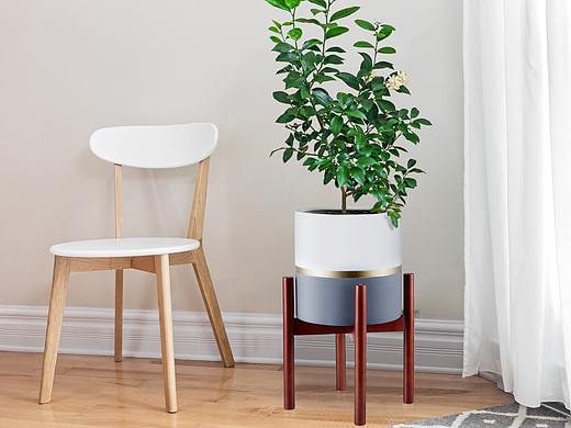 图片拍摄 设计合成 后期精修 亚马逊建模渲染花盆