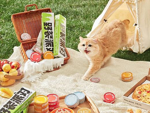 Aprilone四月名 || 宠物美食-猫罐头