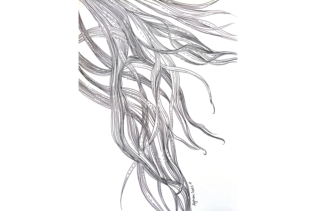 线条练习180504（图ZMTE5NTc2ODgw） - 创作习作 - 站酷设计师Ayman2017原创素材 - 站酷ZCOOL