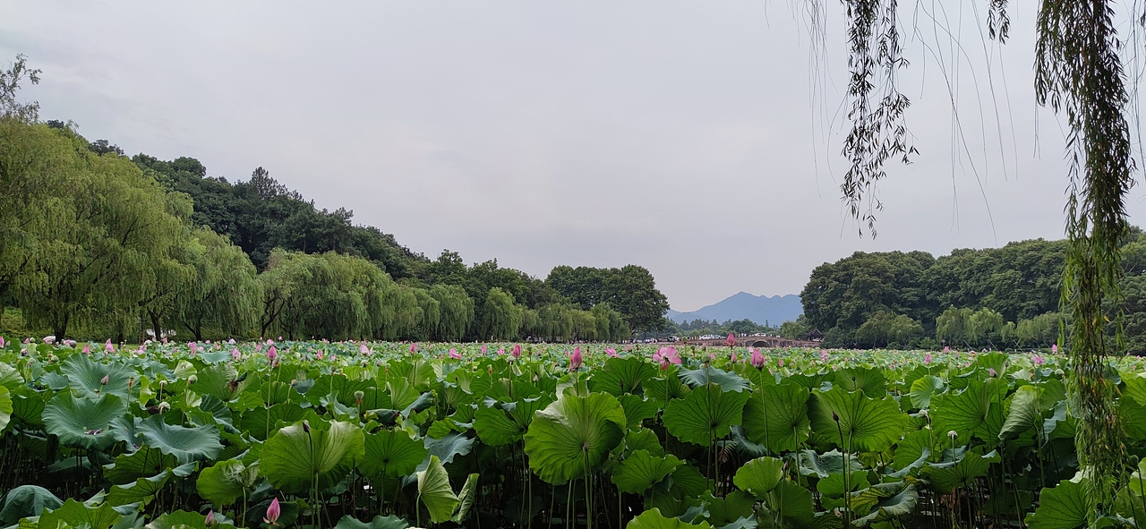 杭州·西湖·城市天际线（图ZMjY2MDc5NzQ0） - 风光摄影 - 站酷设计师手写的从前5原创素材 - 站酷ZCOOL