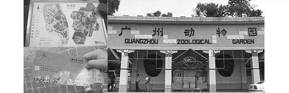 品牌设计—广州动物园品牌形象再设计（图ZMjQyNzUxNzE2） - 品牌 - 站酷设计师怂猫不加塞原创素材 - 站酷ZCOOL