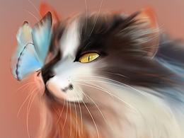 插画练习