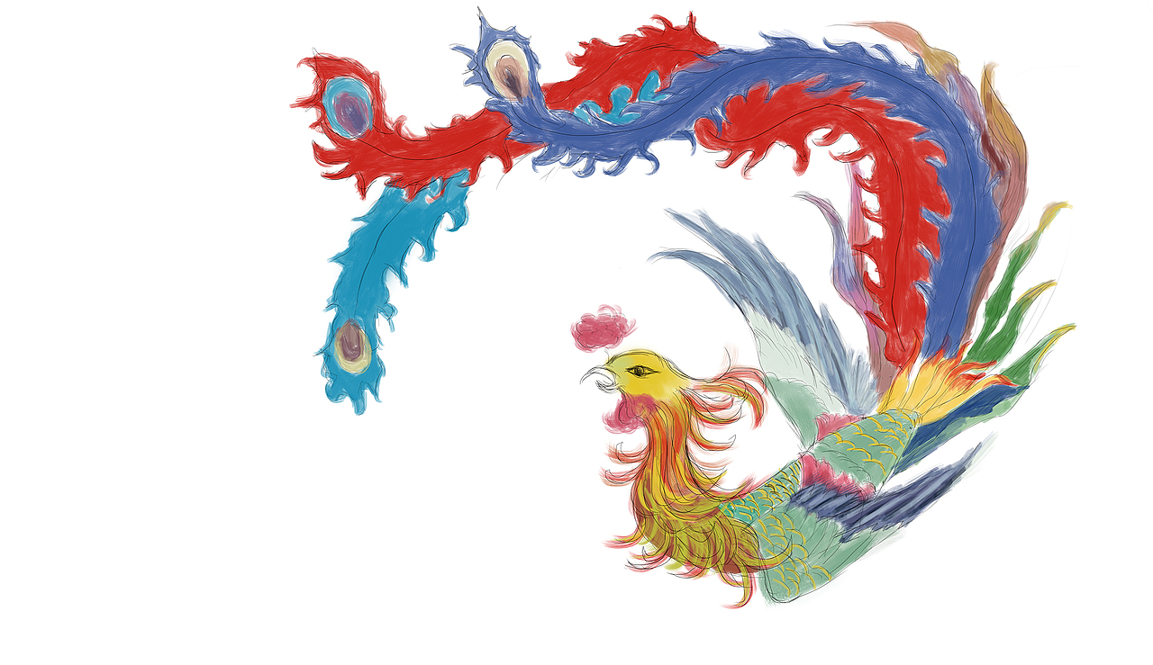 手绘插画凤凰（图ZOTg5ODQyMjA=） - 创作习作 - 站酷设计师杨保情原创素材 - 站酷ZCOOL