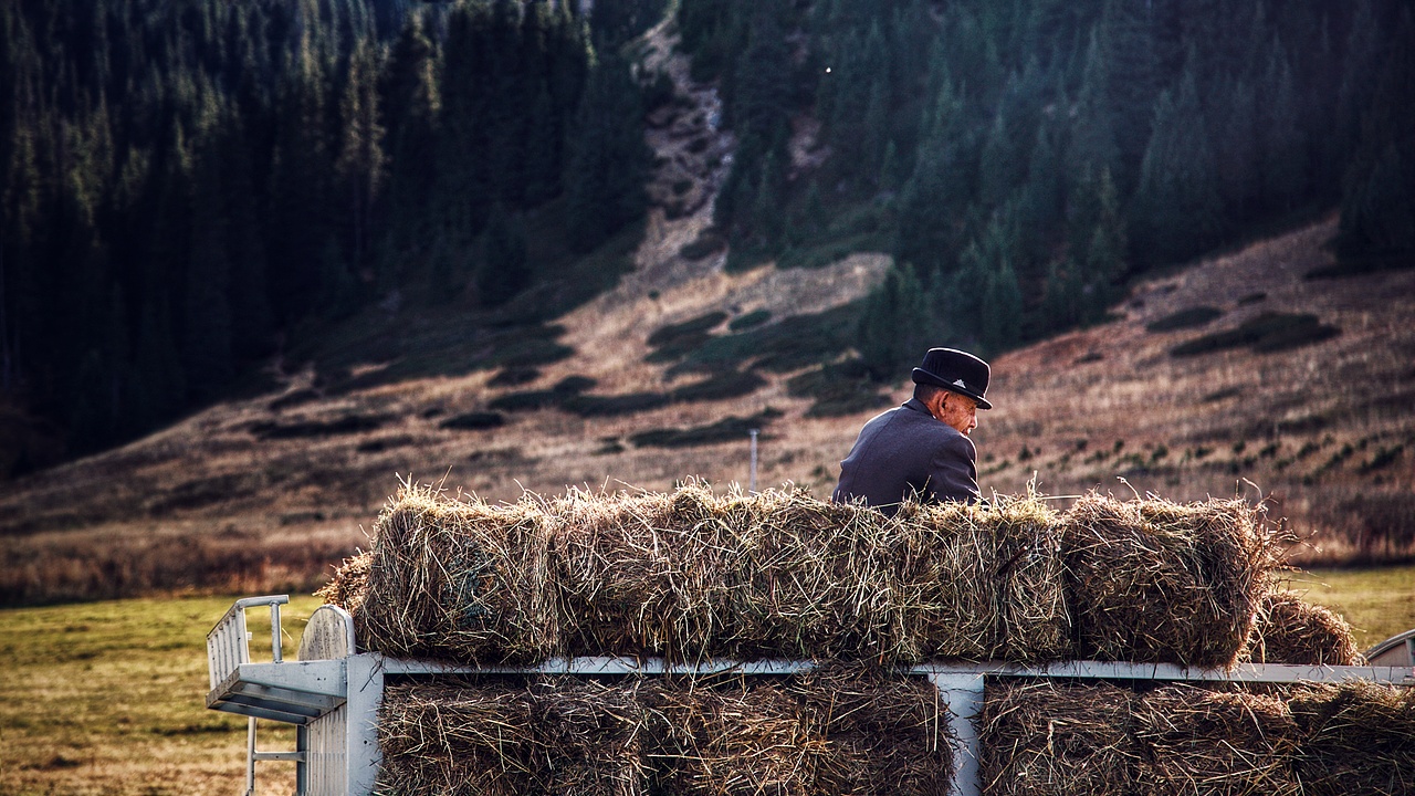 《放牧的新疆人》
