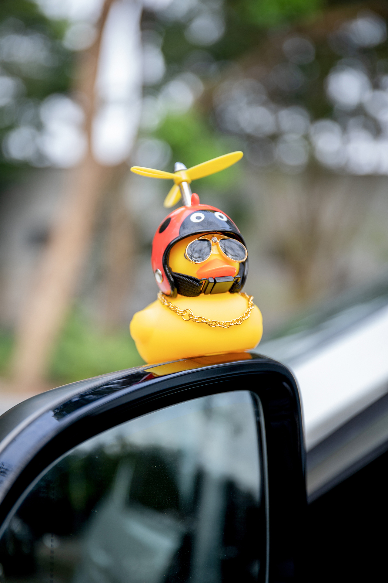 每天都要快乐鸭