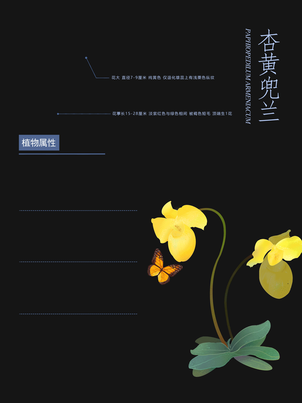 极小种群野生兜兰植物动态海报#地球守卫者#