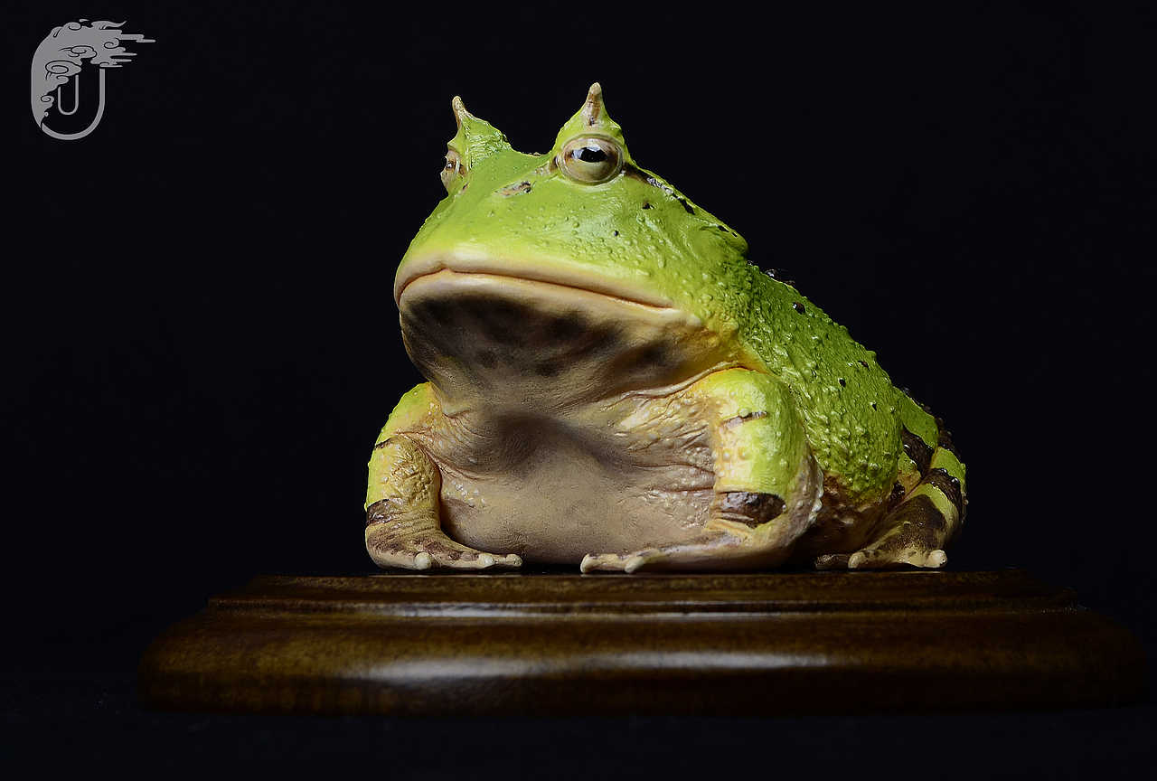 《蝴蝶角蛙》静态模型|手工艺|手办/模玩|池中_原创作品-站酷zcool