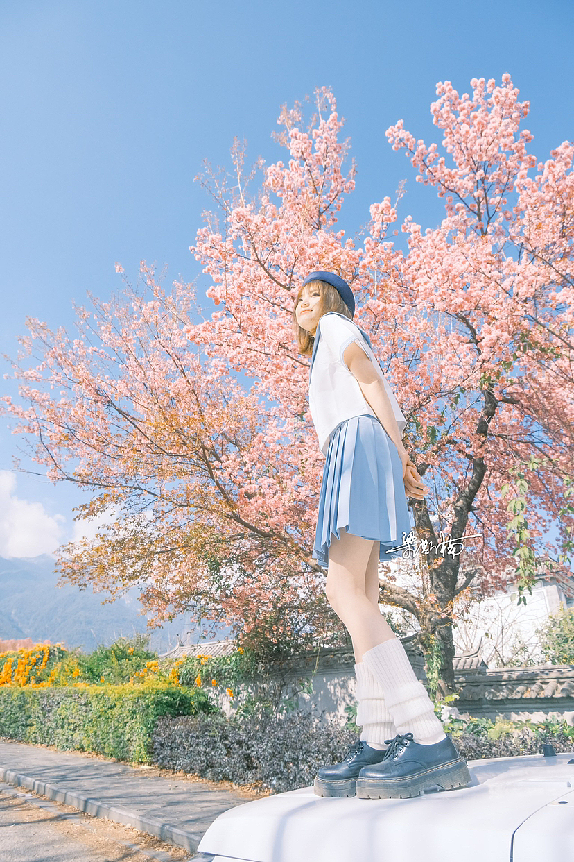 本来只想拍一组樱花,没想到拍的了初恋的感觉