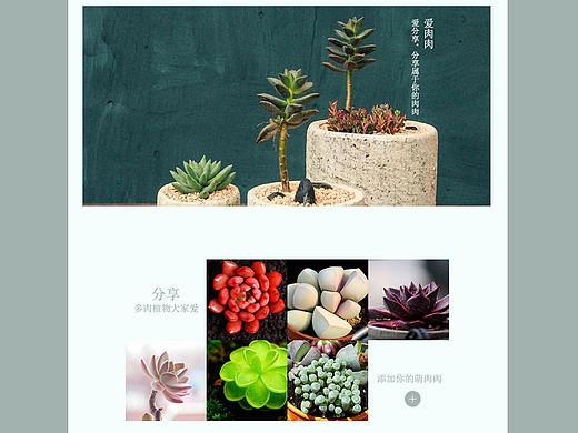 多肉植物專題頁（個人主頁-ZMjU5NTIzMDQ=） - 宣傳物料 - 站酷設(shè)計師崽崽Ava原創(chuàng)素材 - 站酷ZCOOL
