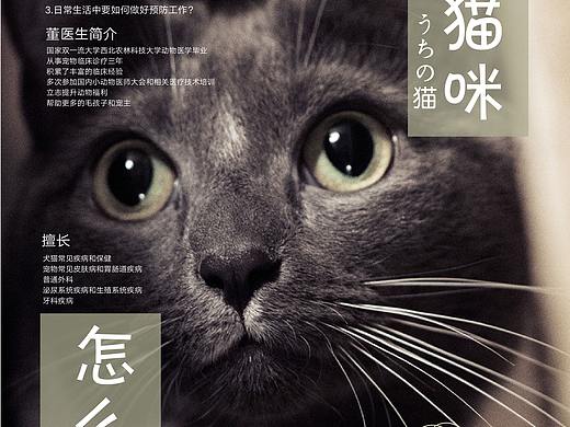 宠物海报