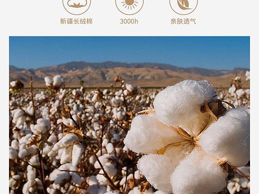 2020年 一款纯棉衬衫详情页