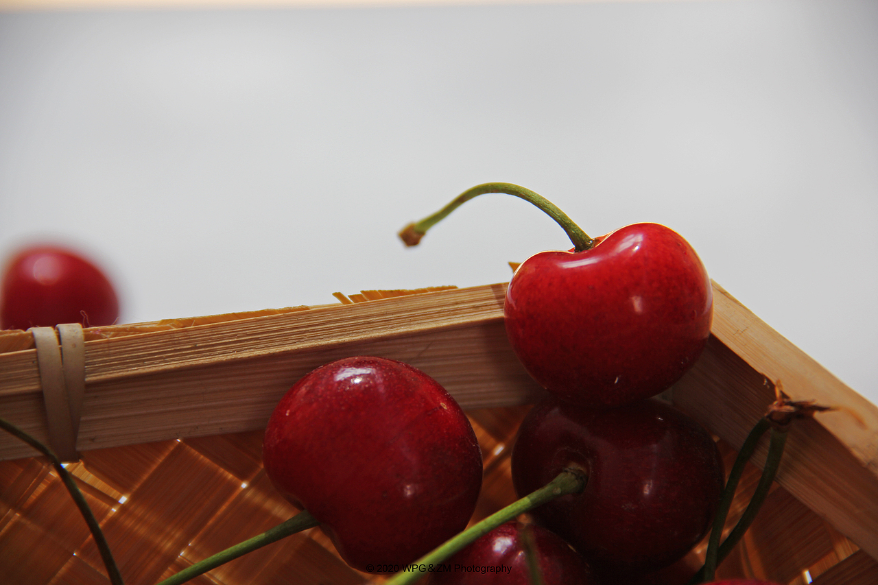 《 樱桃の夏 》