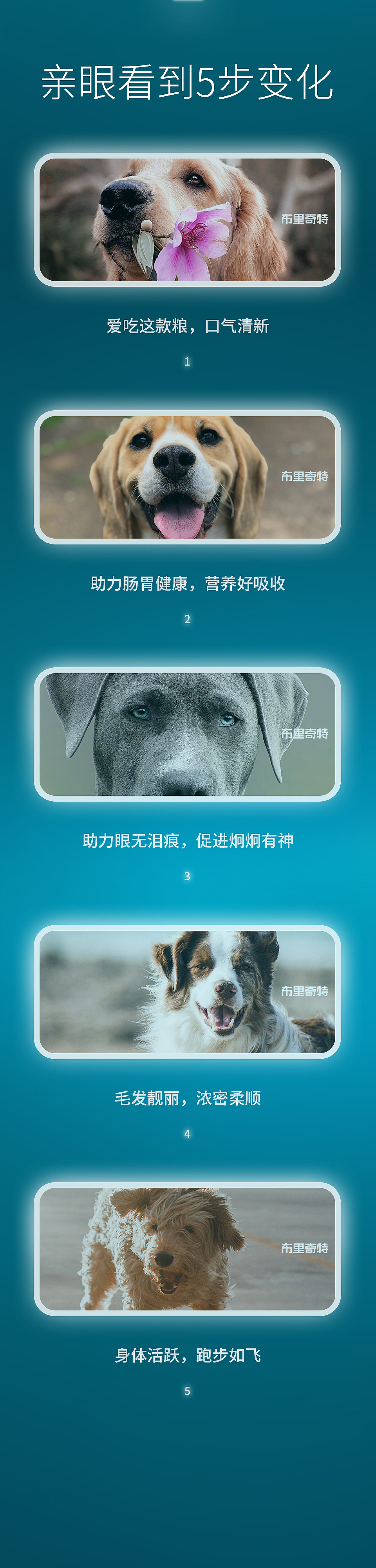 布里奇特电商详情页设计