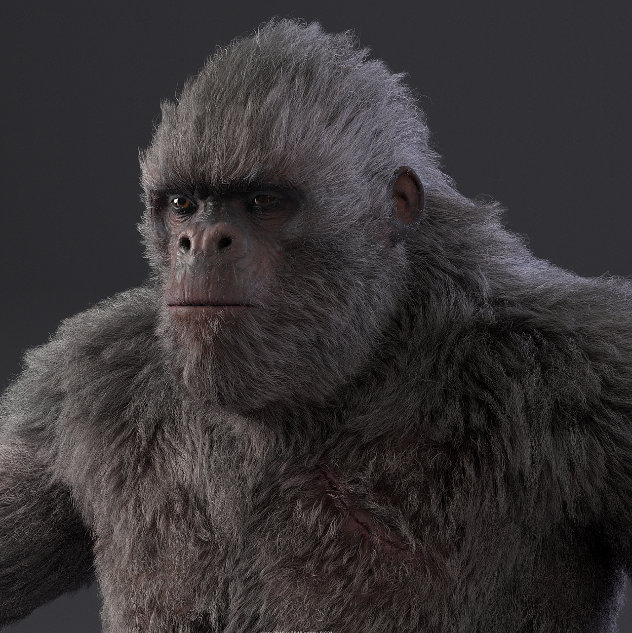 猩猩毛發(fā)測(cè)試（圖ZMTQxNDc4ODQ4） - 人物/生物 - 站酷設(shè)計(jì)師lxzm原創(chuàng)素材 - 站酷ZCOOL